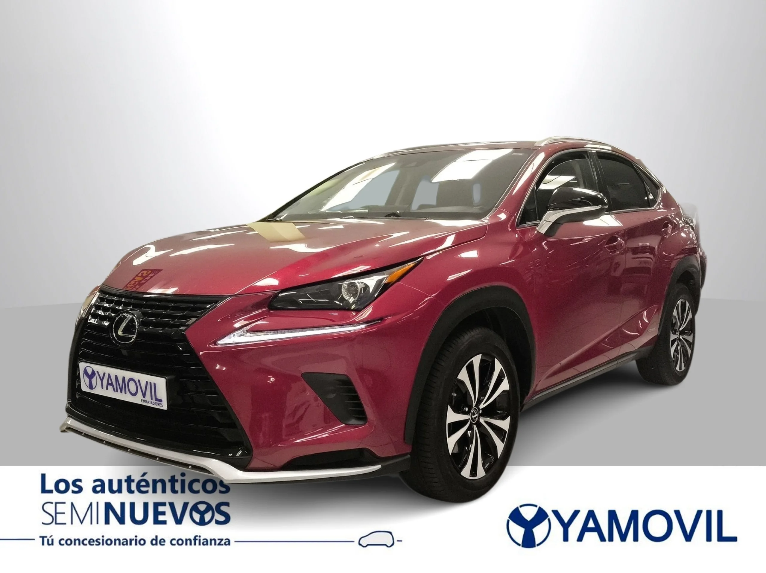 Lexus NX 300h Executive Navigation 4WD 145 kW (197 CV) - Foto 1