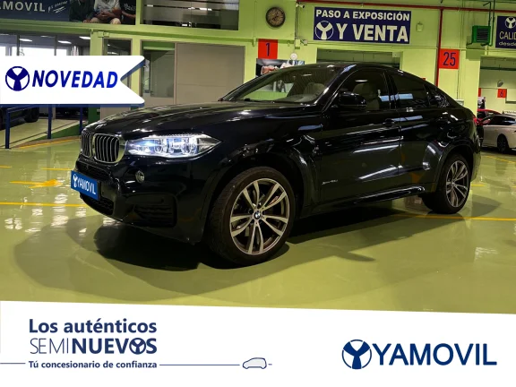 BMW X6 xDrive40d 230 kW (313 CV)