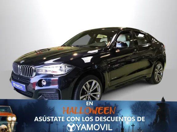 BMW X6 xDrive40d 230 kW (313 CV)