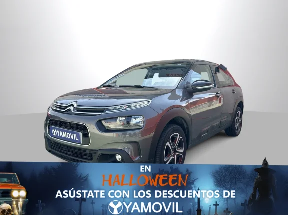 Citroen C4 Cactus PureTech 110 SANDS Feel 81 kW (110 CV)