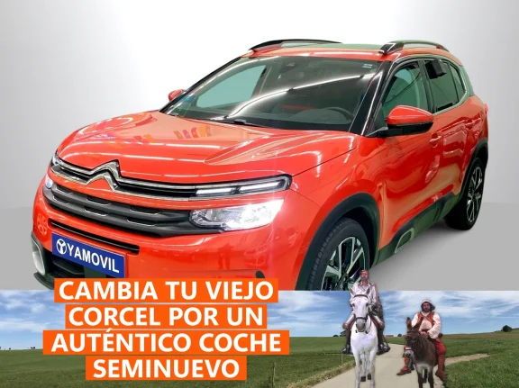 Citroen C5 Aircross BlueHdi 130 SANDS Feel EAT8 96 kW (131 CV)