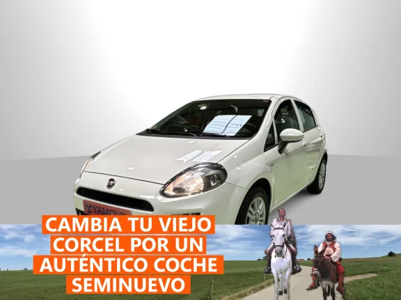 Fiat Punto 1.3 Multijet Easy 55 kW (75 CV)