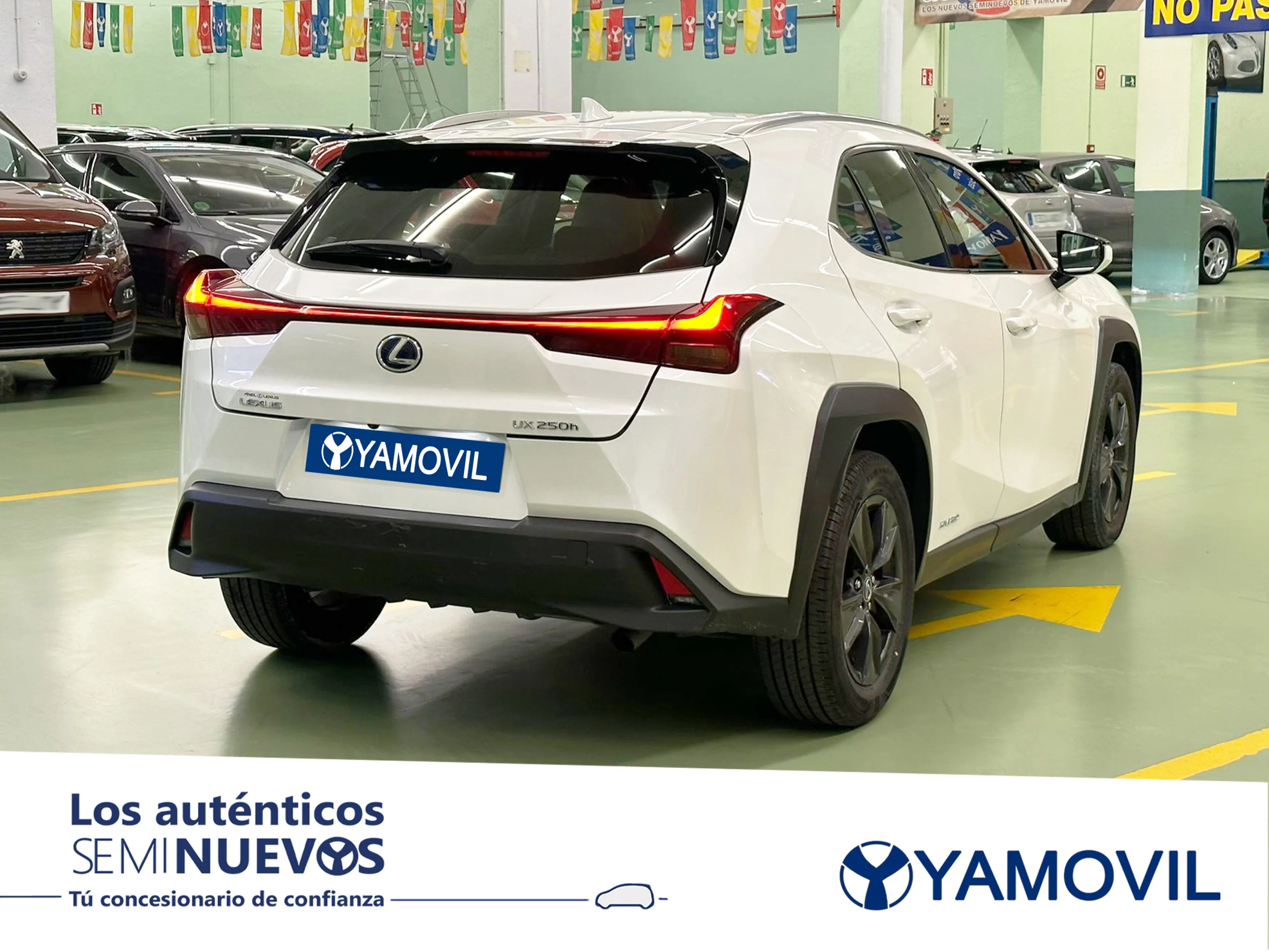 Lexus Ux 250h Business 2WD 135 kW (184 CV) - Foto 2