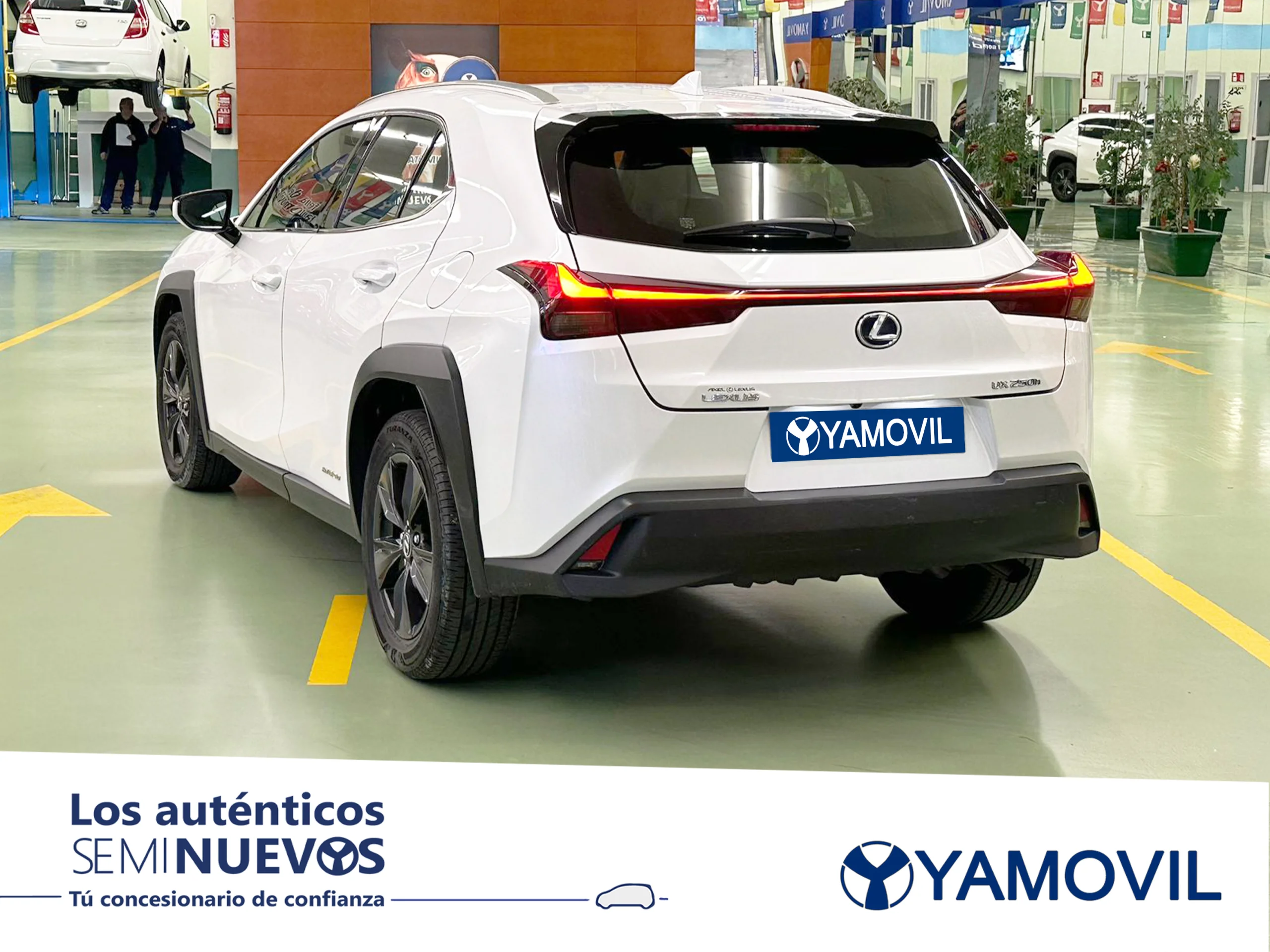 Lexus Ux 250h Business 2WD 135 kW (184 CV) - Foto 4