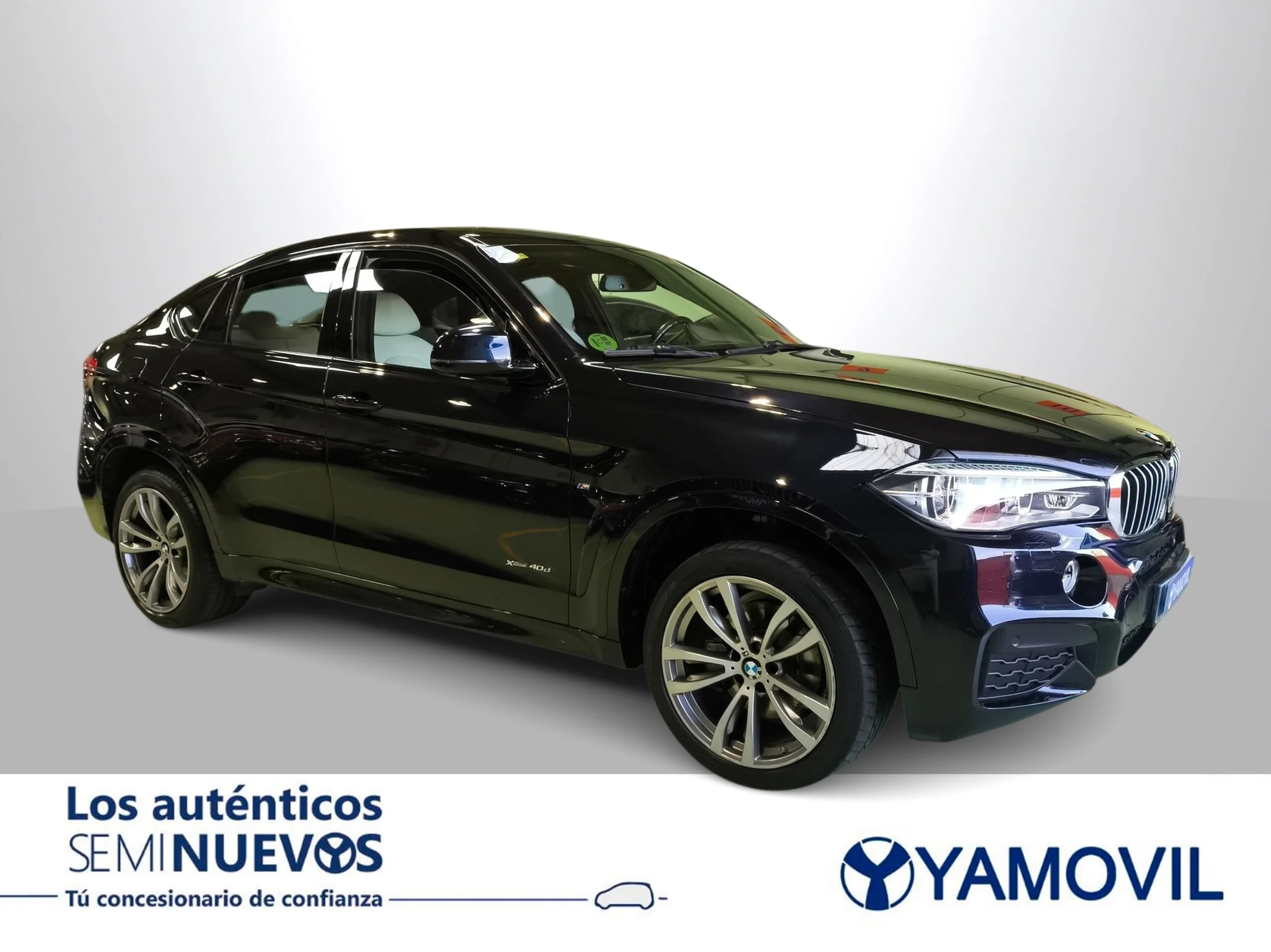 BMW X6 xDrive40d 230 kW (313 CV) - Foto 5