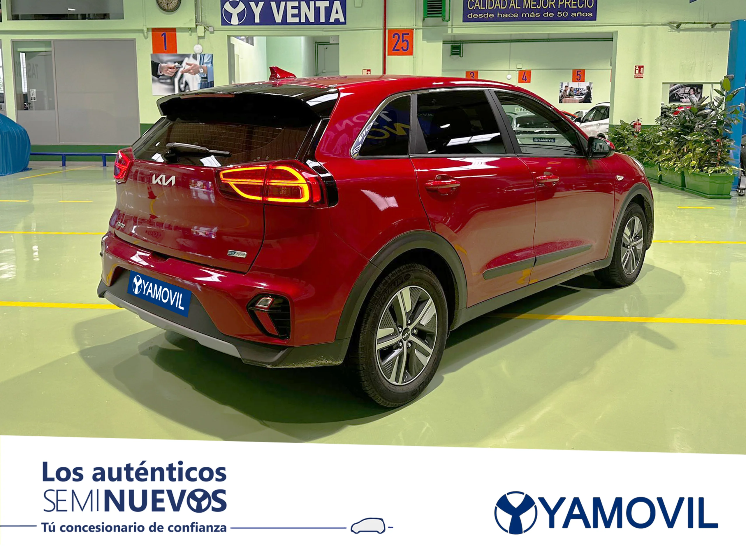 Kia Niro 1.6 GDi HEV Híbrido Concept 104 kW (141 CV) - Foto 2