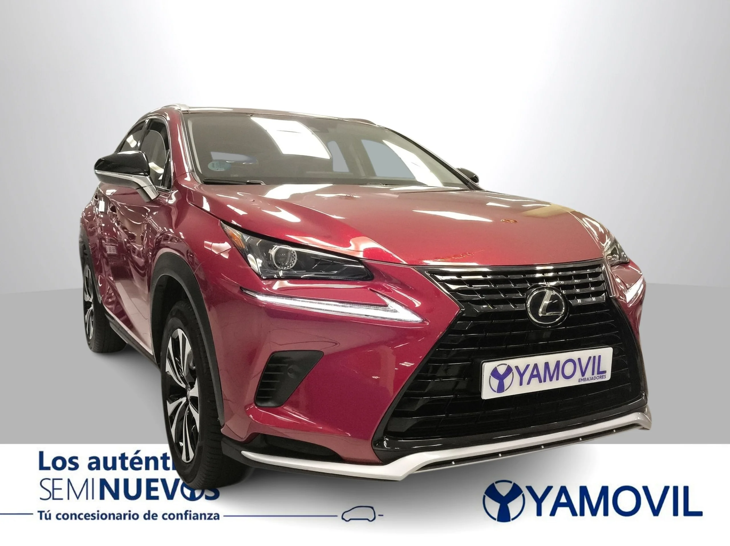 Lexus NX 300h Premium 2WD 145 kW (197 CV) - Foto 2