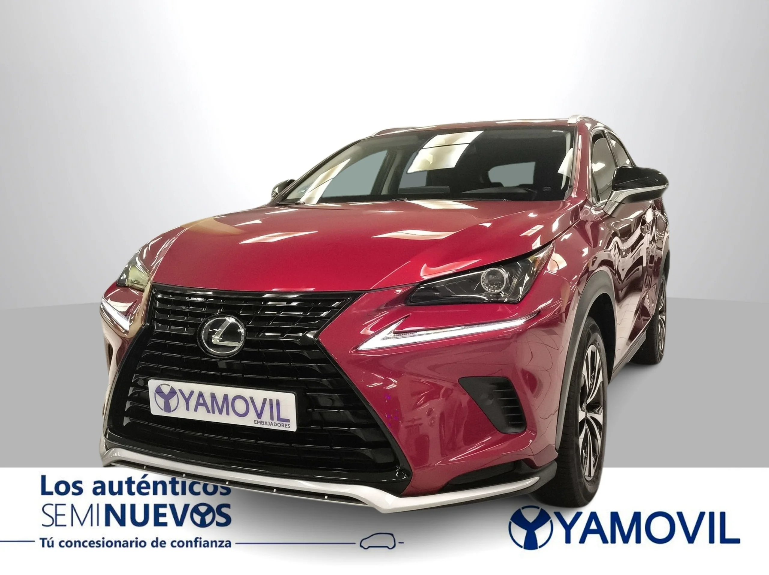 Lexus NX 300h Executive Navigation 4WD 145 kW (197 CV) - Foto 3