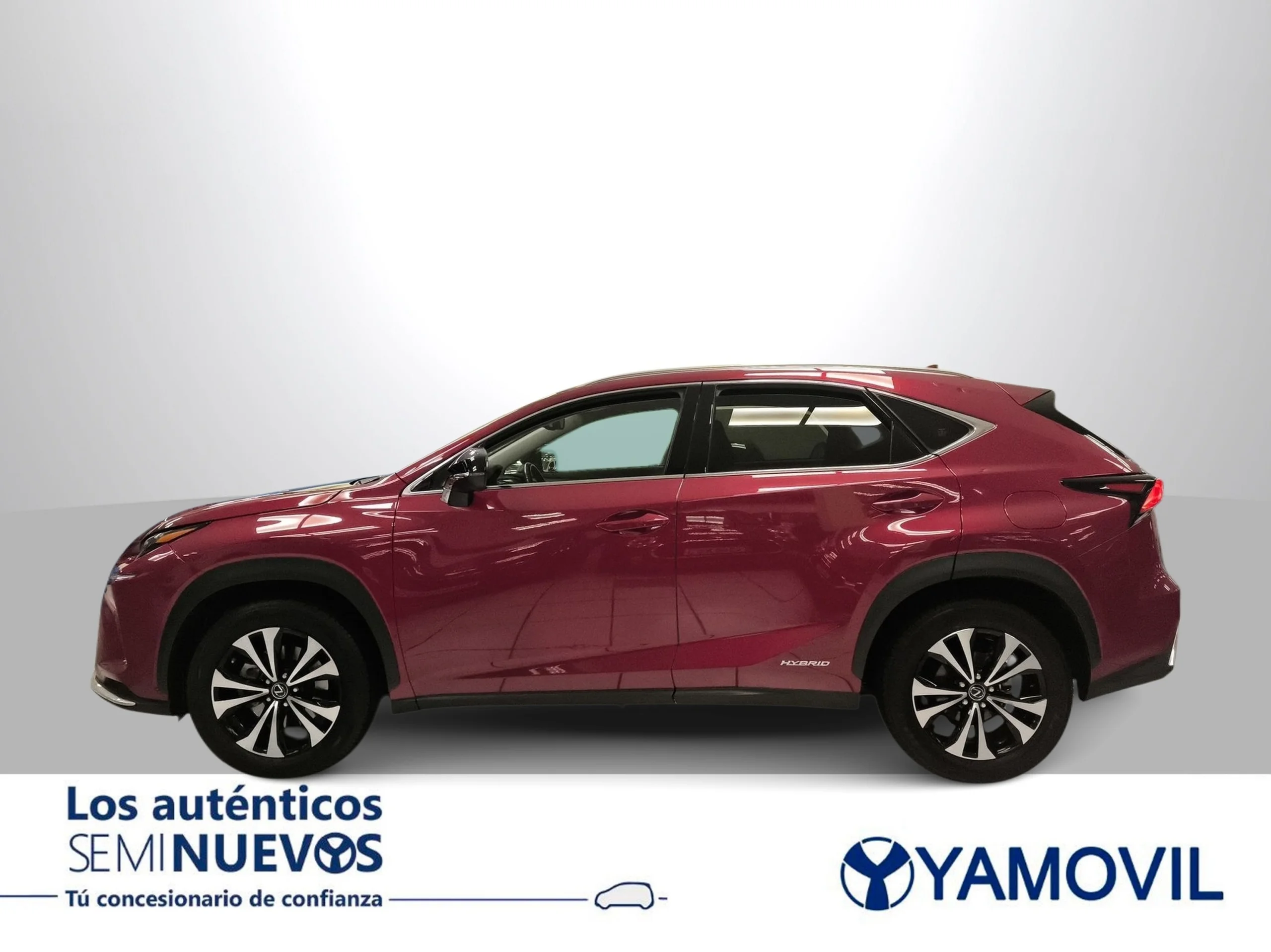 Lexus NX 300h Executive Navigation 4WD 145 kW (197 CV) - Foto 4