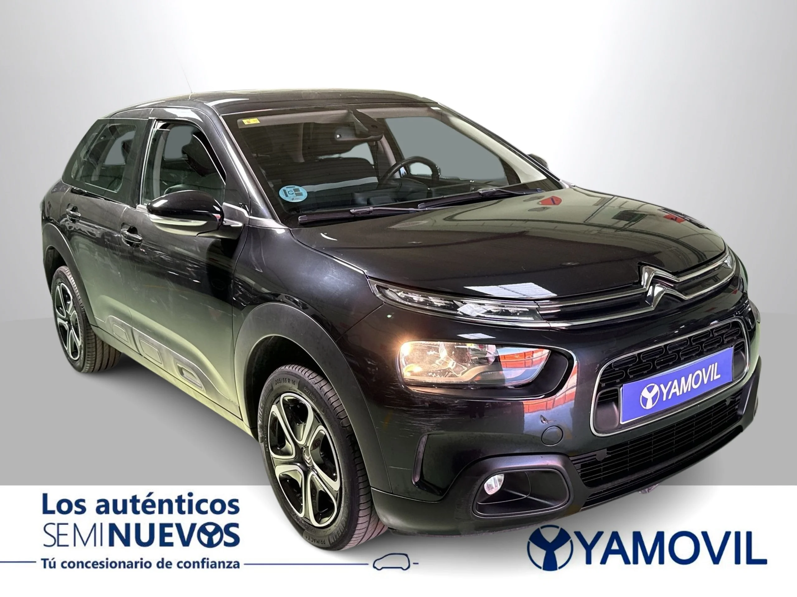 Citroen C4 Cactus PureTech 110 SANDS Feel 81 kW (110 CV) - Foto 2