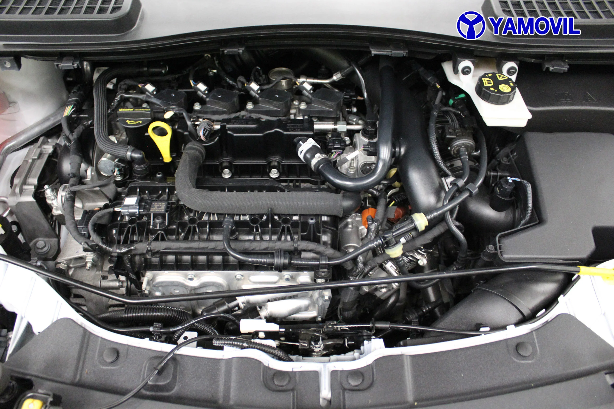 Ford Kuga 1.5 EcoBoost Trend 4x2 88 kW (120 CV) - Foto 8