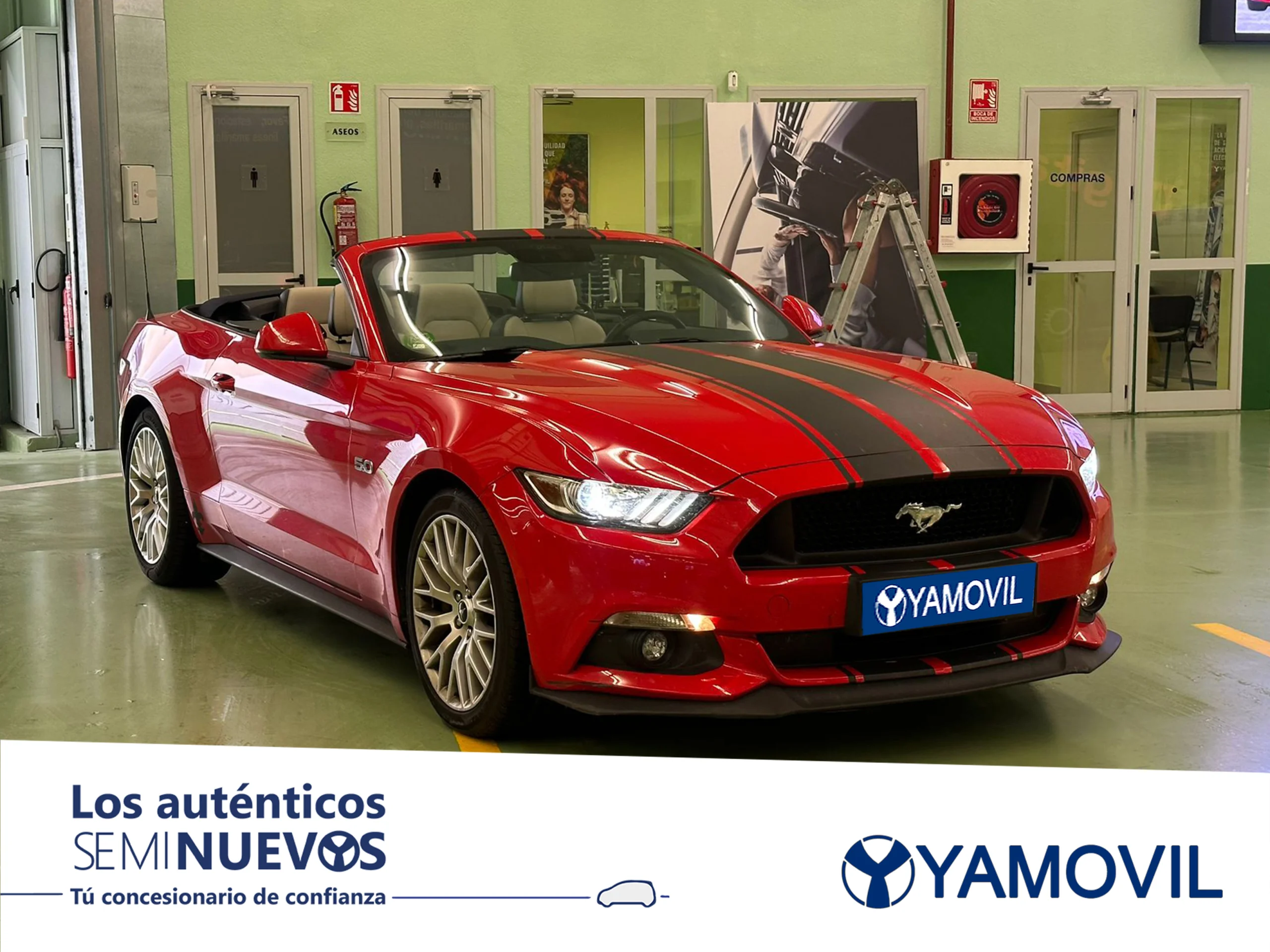 Ford Mustang 5.0 Ti-VCT V8 Convertible Mustang GT 307 kW (418 CV) - Foto 3