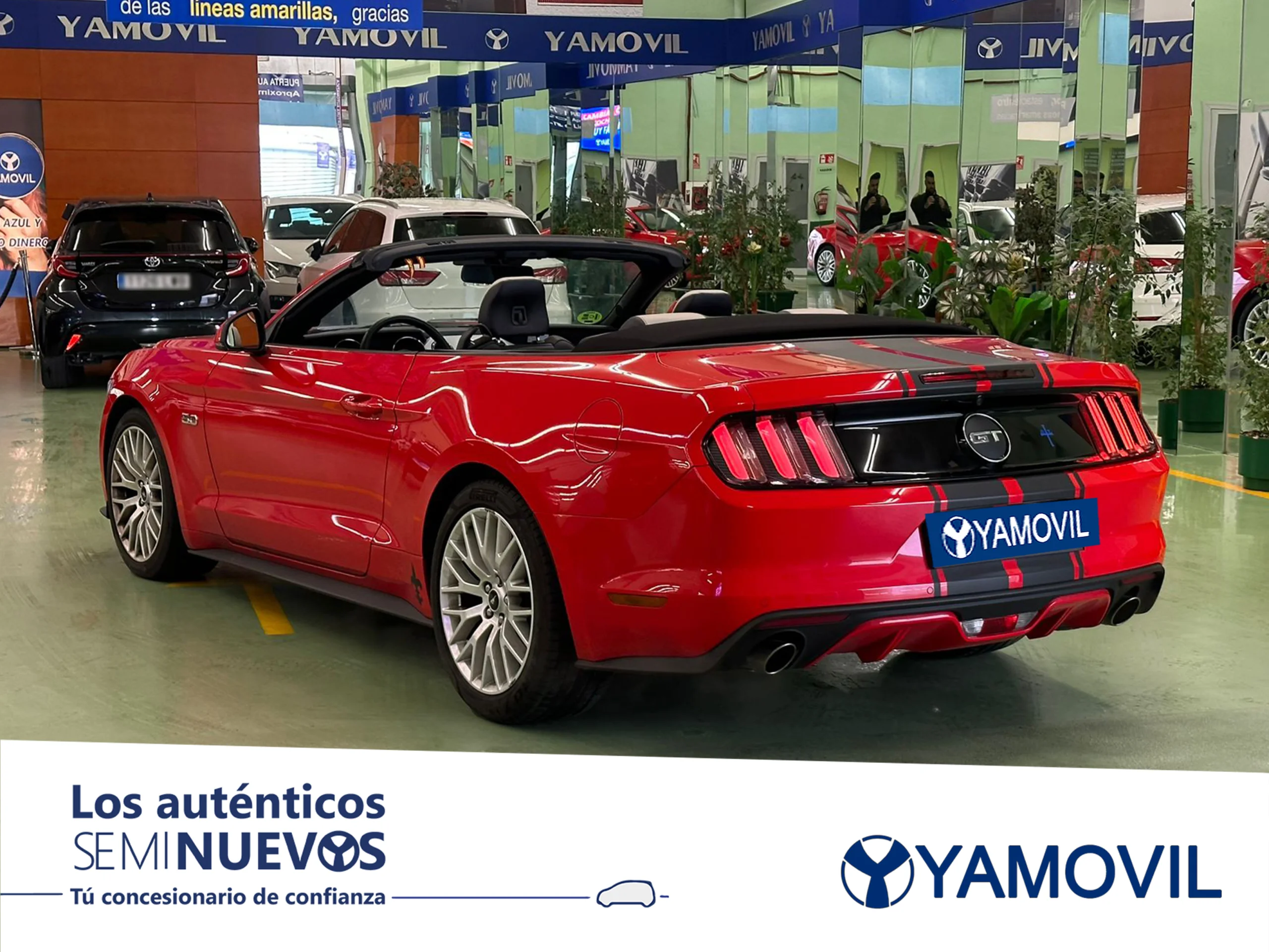 Ford Mustang 5.0 Ti-VCT V8 Convertible Mustang GT 307 kW (418 CV) - Foto 5