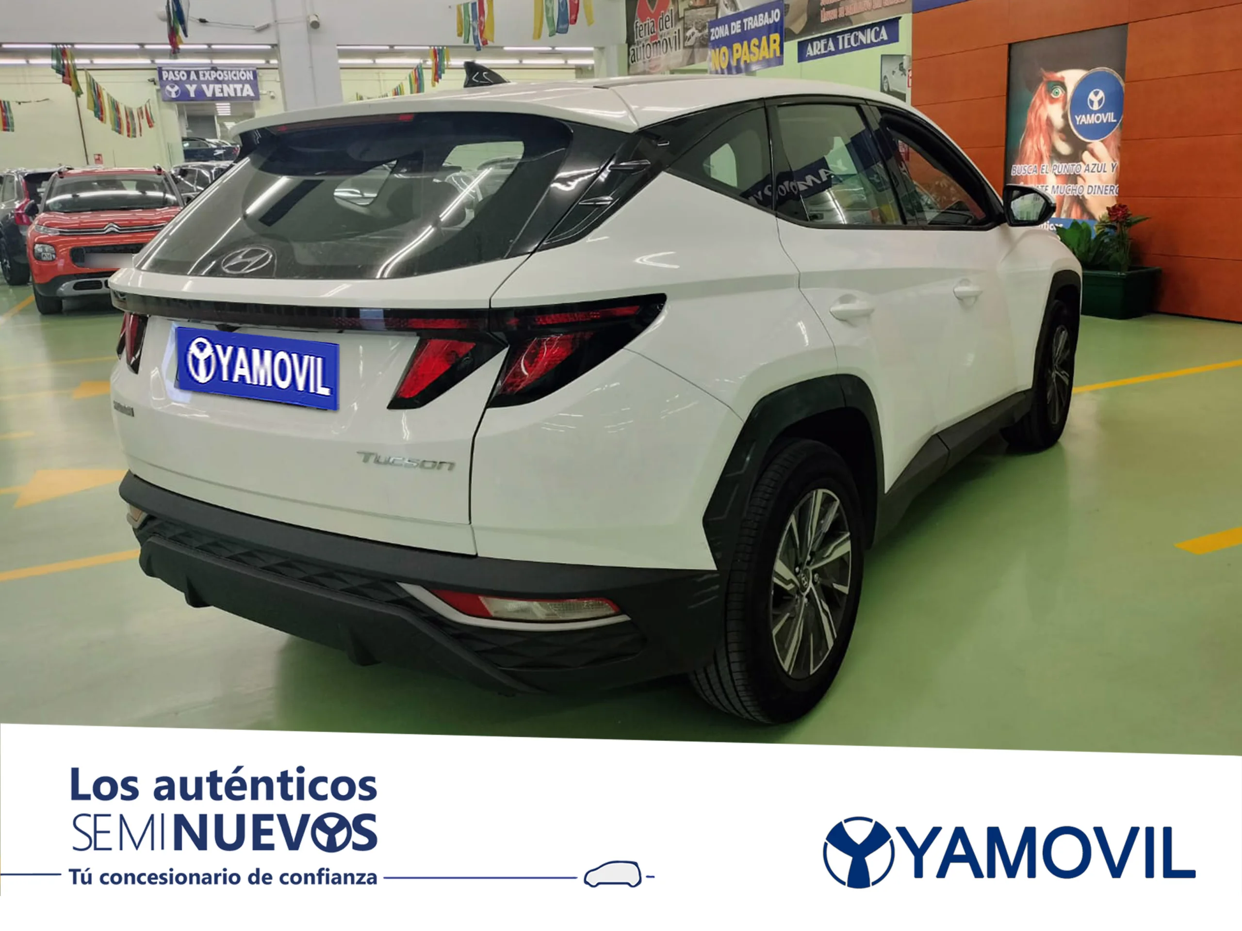 Oferta Hyundai Tucson Tgdi Klass X Kw Cv Desde