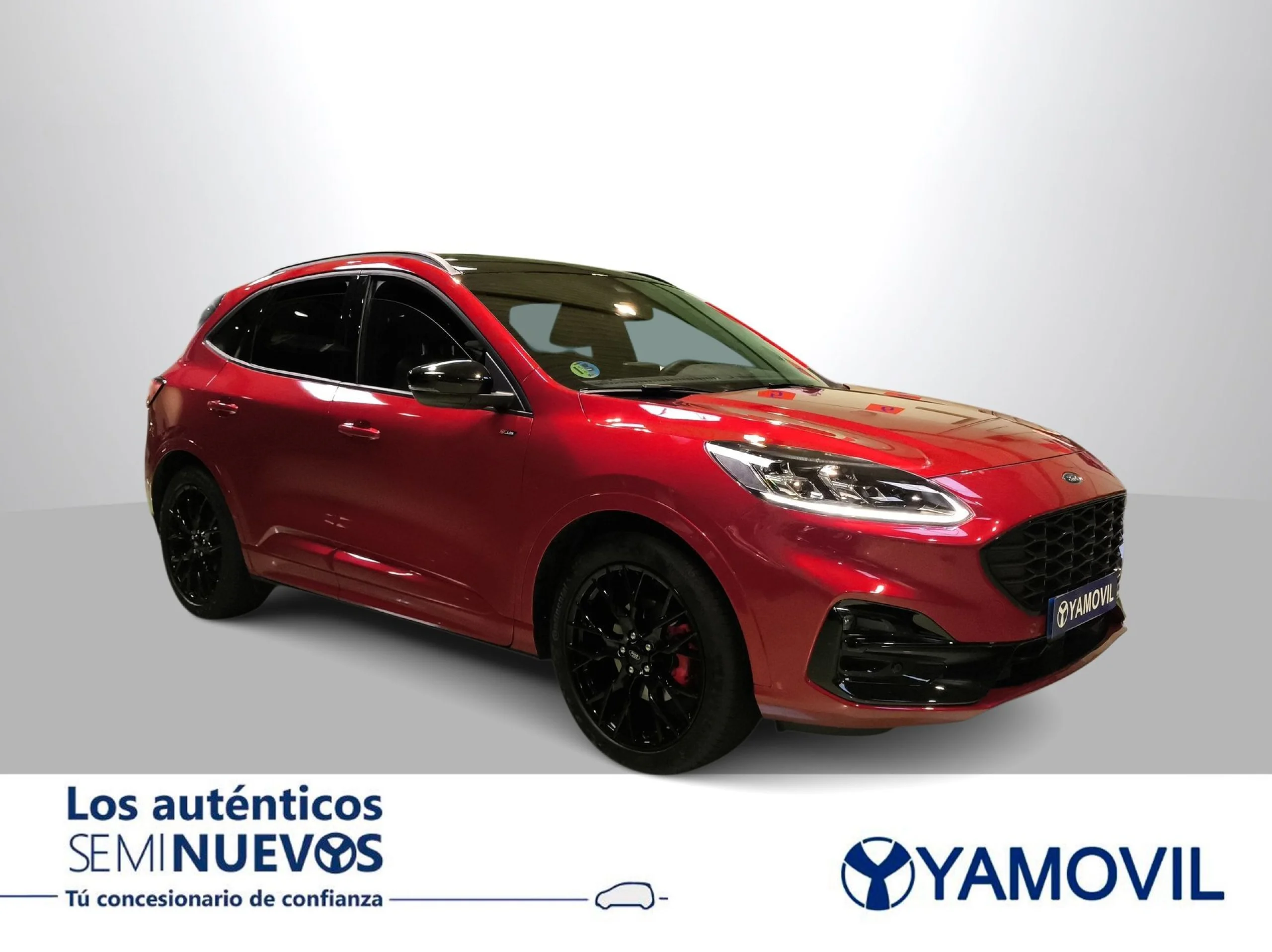 Ford Kuga 2.5 Duratec FHEV ST-Line X 4x2 Auto 140 kW (190 CV) - Foto 5