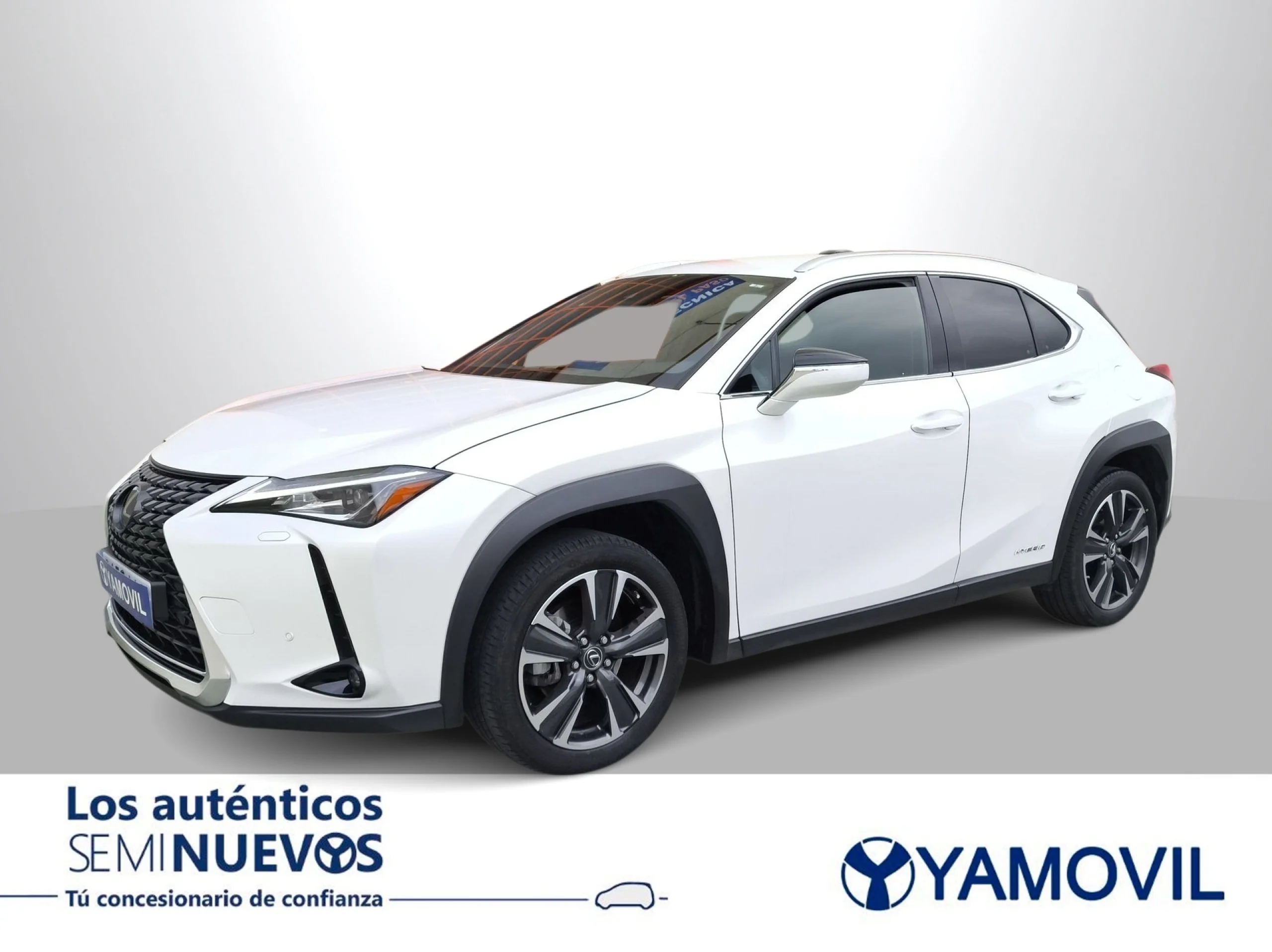 Lexus Ux 250h Business 2WD 135 kW (184 CV) - Foto 1