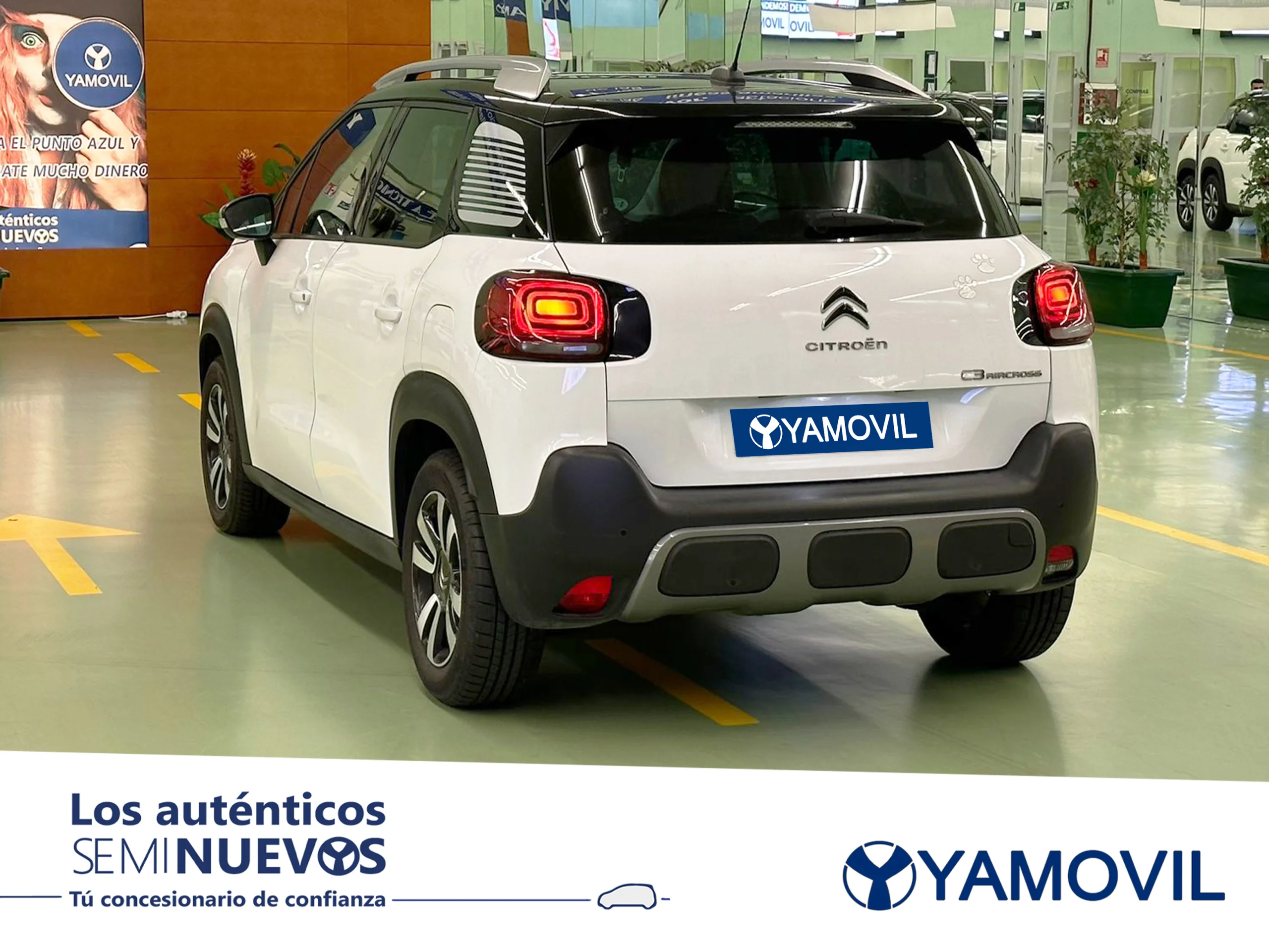 Citroen C3 Aircross PureTech 110 SANDS Feel 81 kW (110 CV) - Foto 4