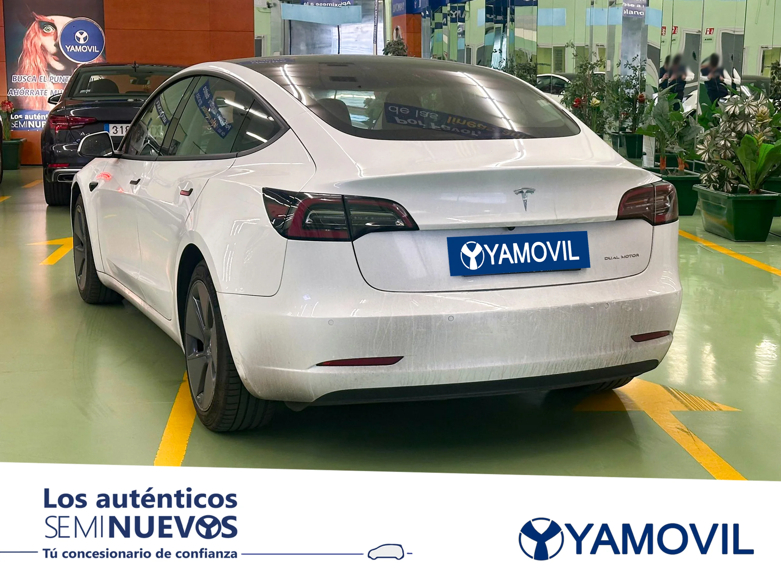 Tesla Model 3 Gran Autonomía 4WD 366 kW (498 CV) - Foto 4