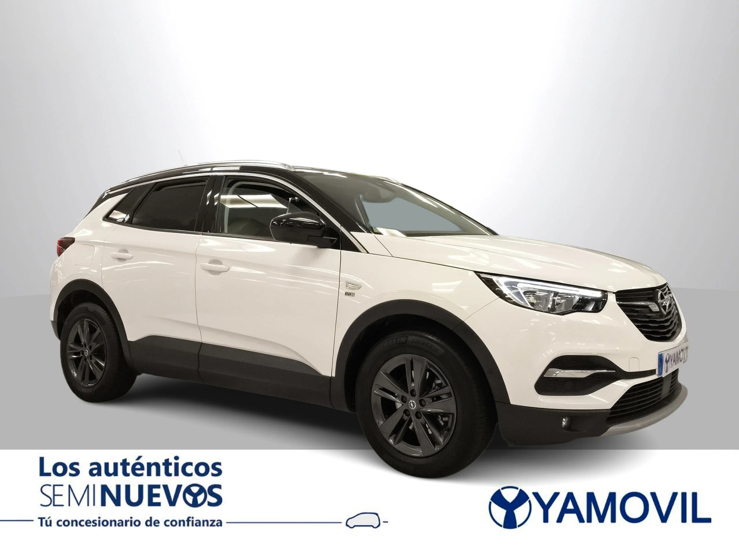 Opel Grandland X 1.5 CDTi 120 Aniversario 96 kW (130 CV) - Foto 2