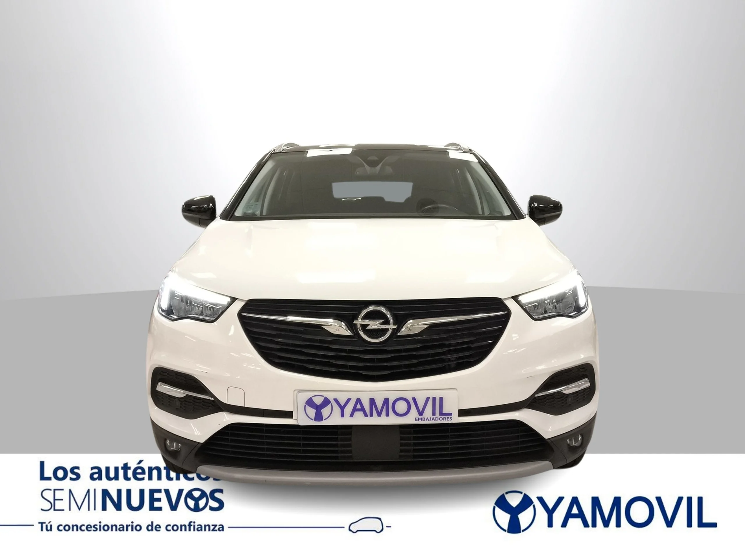 Opel Grandland X 1.5 CDTi 120 Aniversario 96 kW (130 CV) - Foto 3