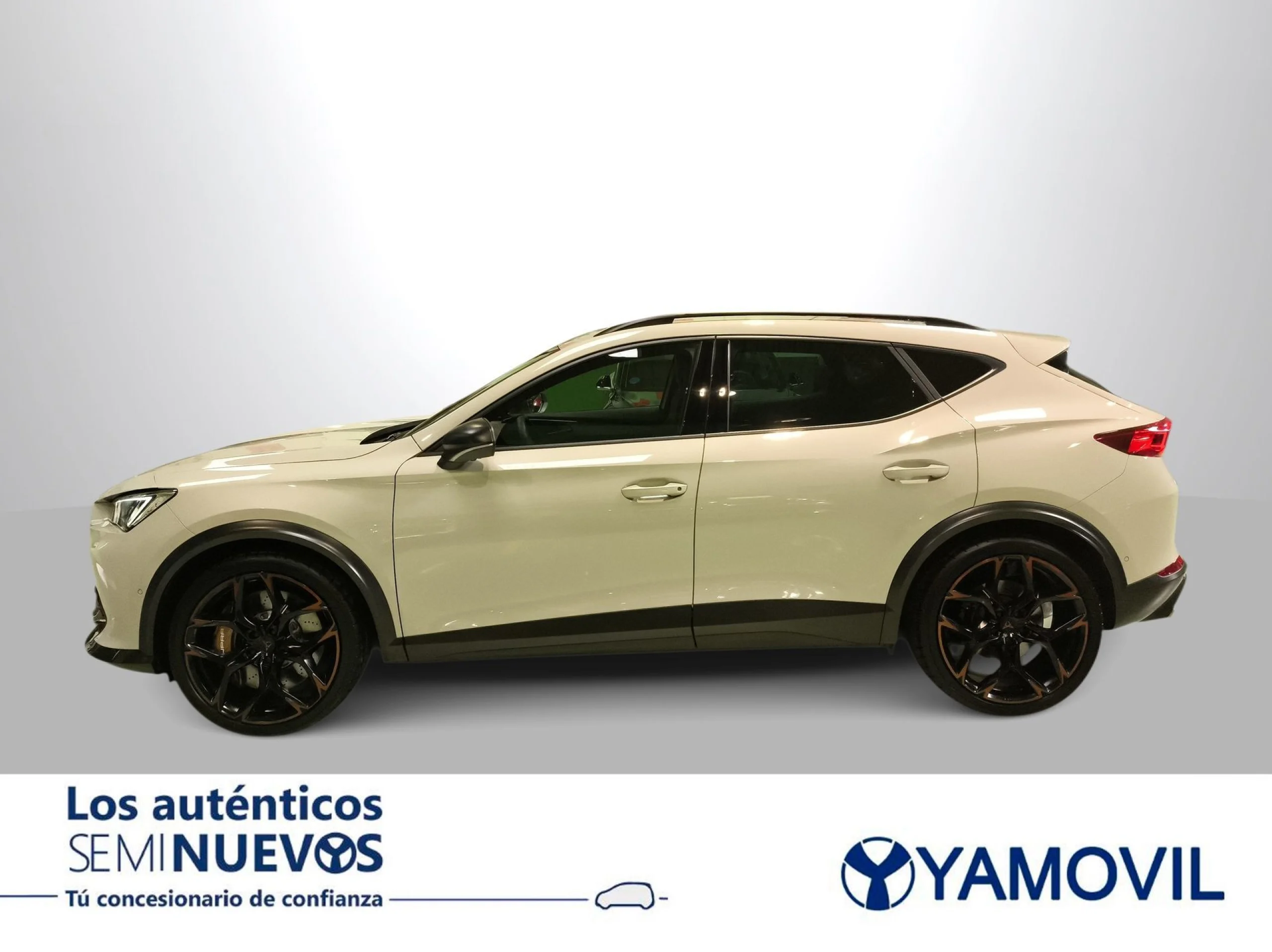 Cupra Formentor 2.5 TSI VZ5 4Drive DSG 287 kW (390 CV) - Foto 2