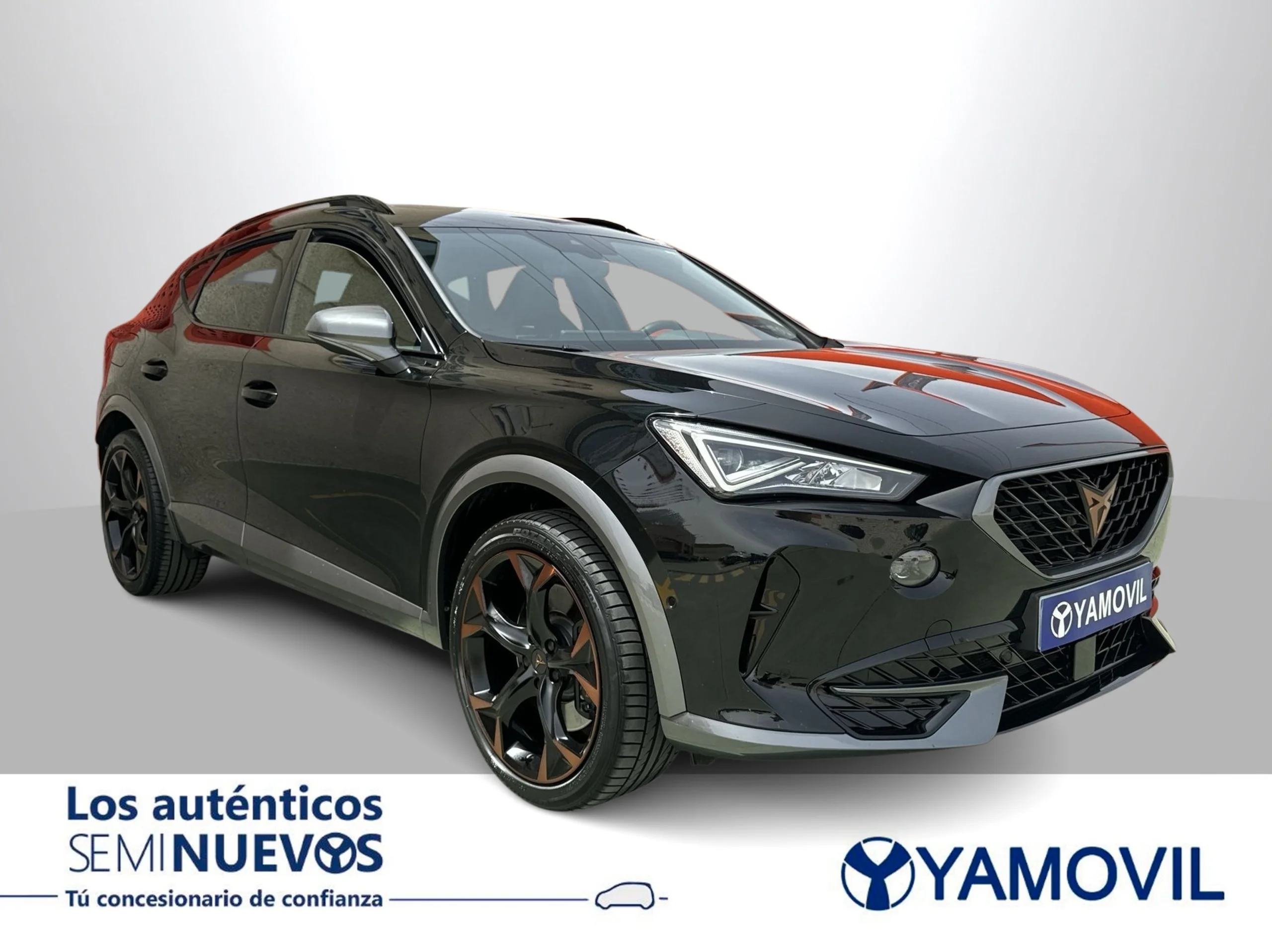 Cupra Formentor 2.0 TSI VZ DSG 180 kW (245 CV) - Foto 2