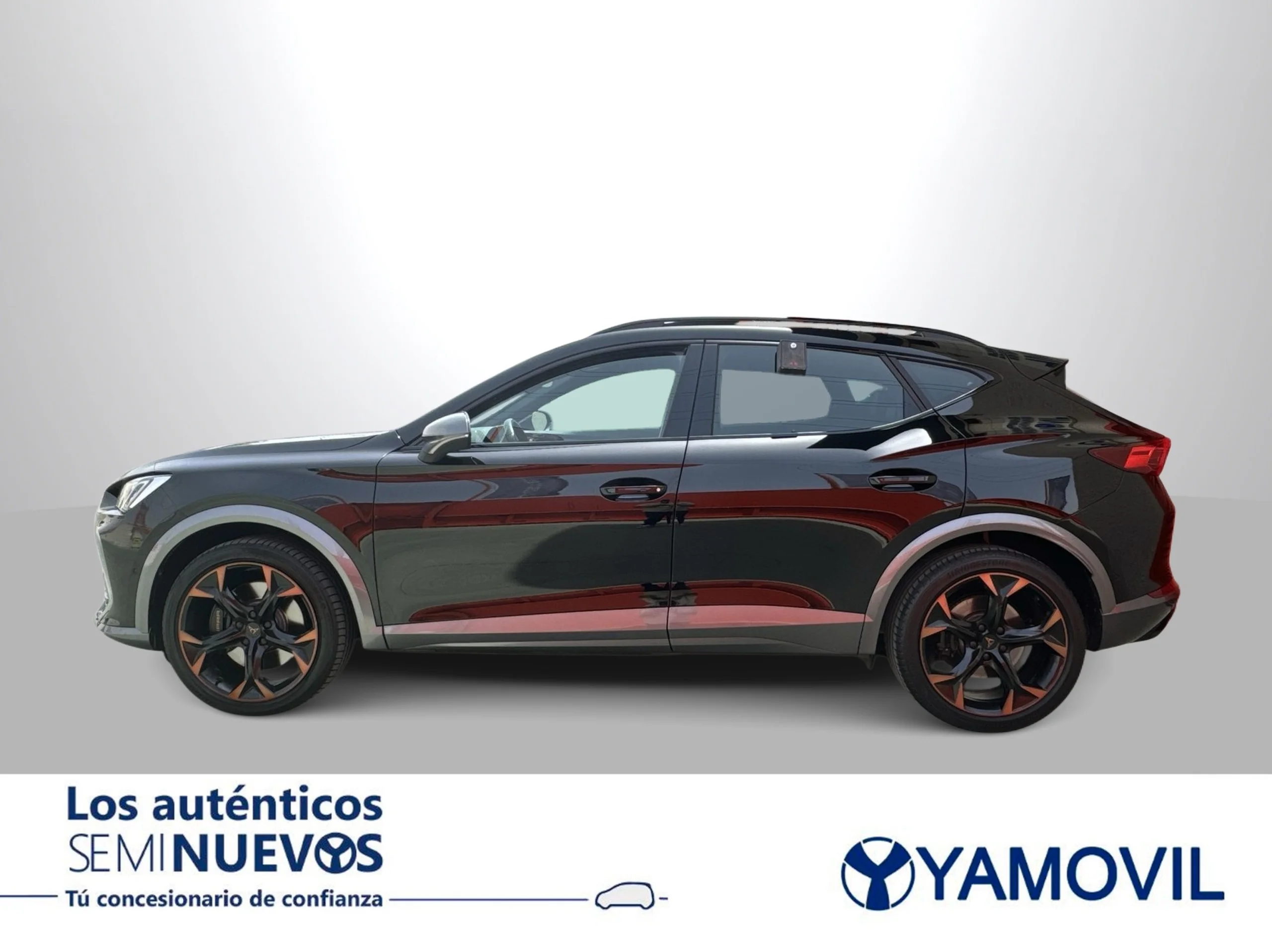 Cupra Formentor 2.0 TSI VZ DSG 180 kW (245 CV) - Foto 4