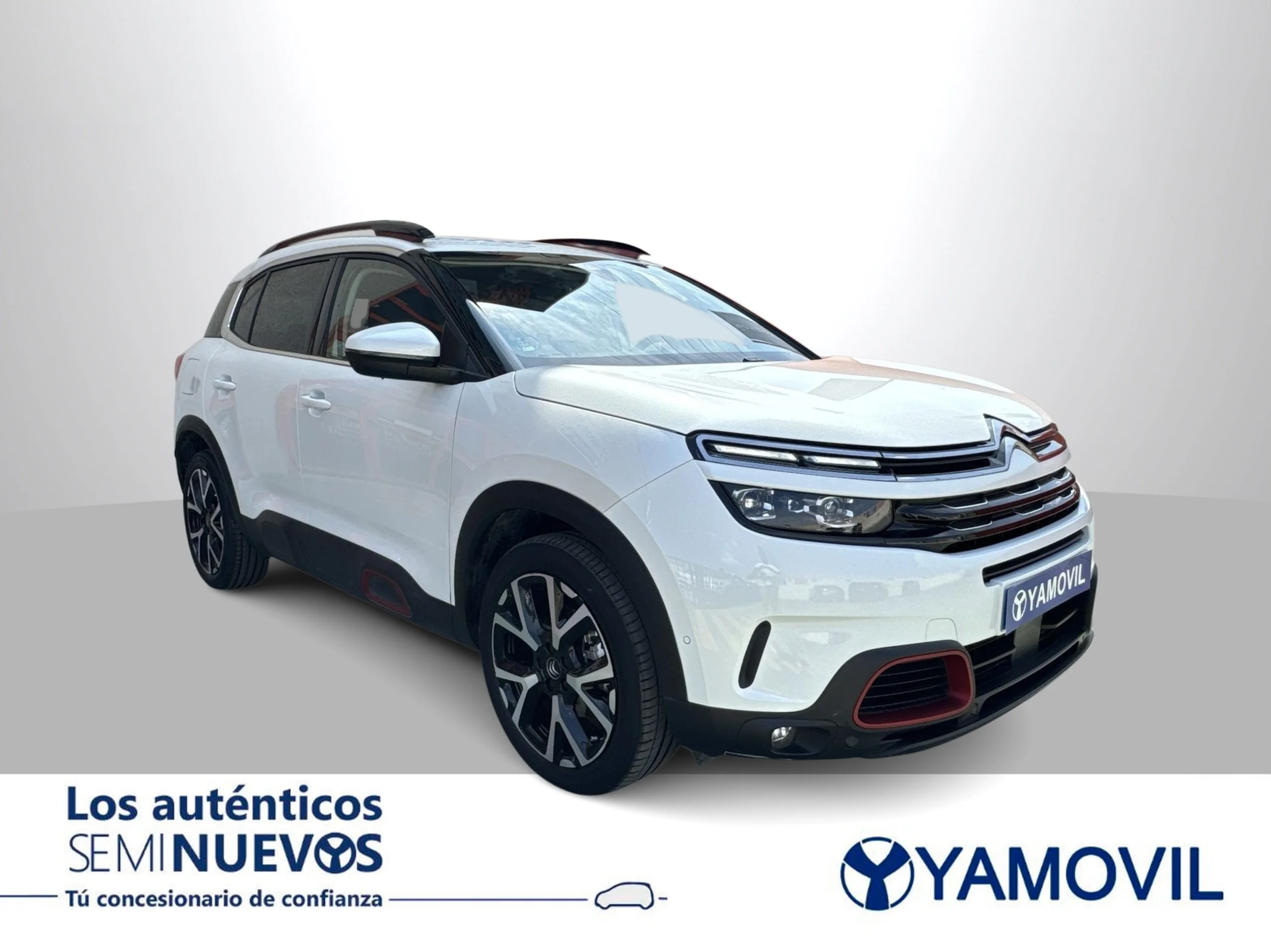 Citroen C5 Aircross PureTech 130 SANDS Shine 96 kW (131 CV) - Foto 2